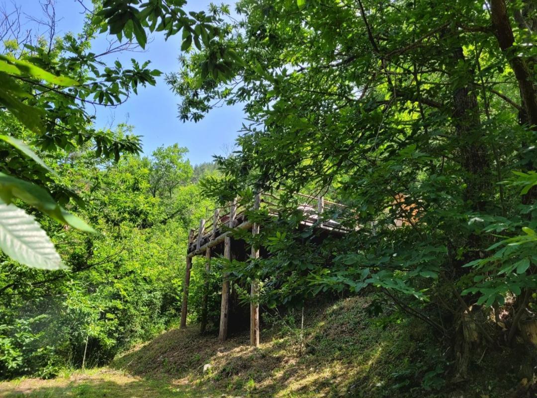 Loz'Aire Naturelle Quezac  Exteriér fotografie
